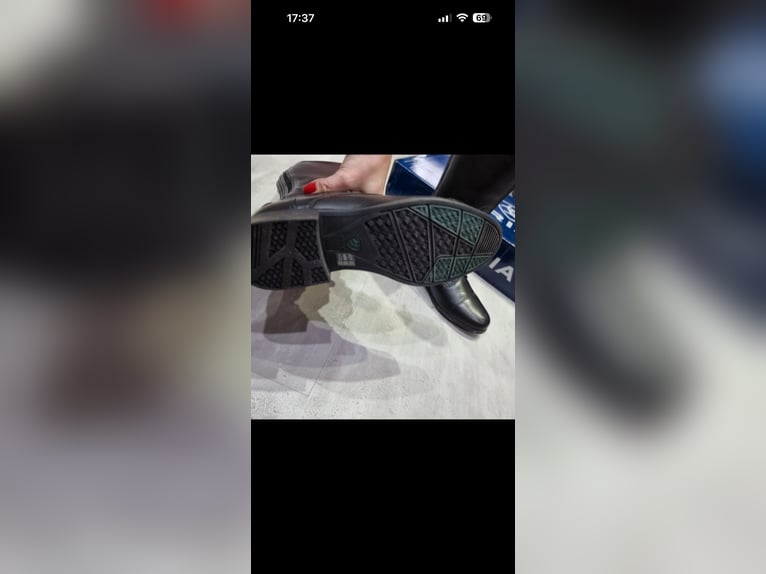 Neue ungetrage Reitstiefel von Ariat