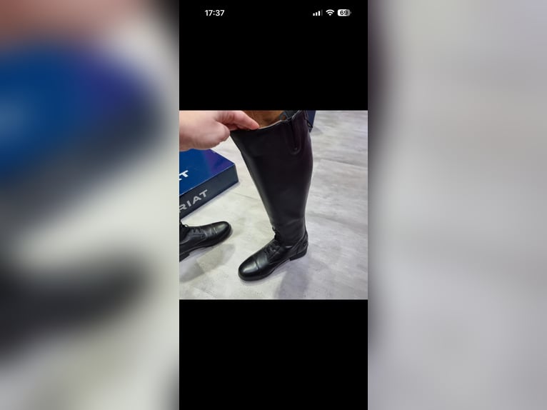 Neue ungetrage Reitstiefel von Ariat