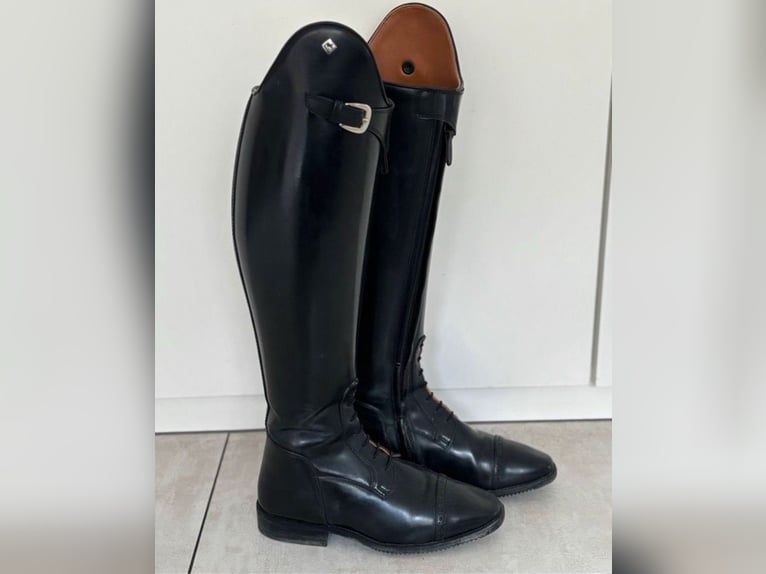 Neuwertige De Niro JB Green Dressurstiefel Gr. 38 MC L Neuwertige De Niro JB Green Dressurstiefel Gr. 38 MC L