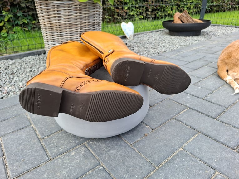 Neuwertige Reitstiefel Celeris  Größe 40/41