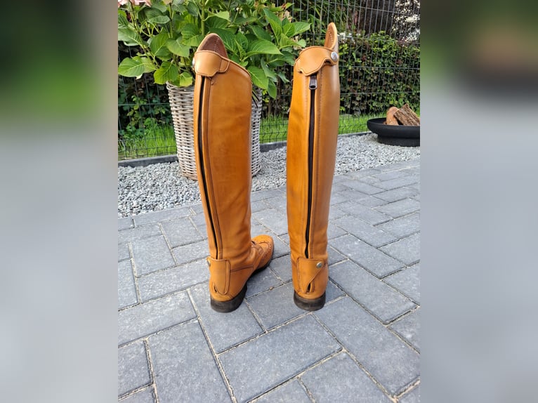 Neuwertige Reitstiefel Celeris  Größe 40/41