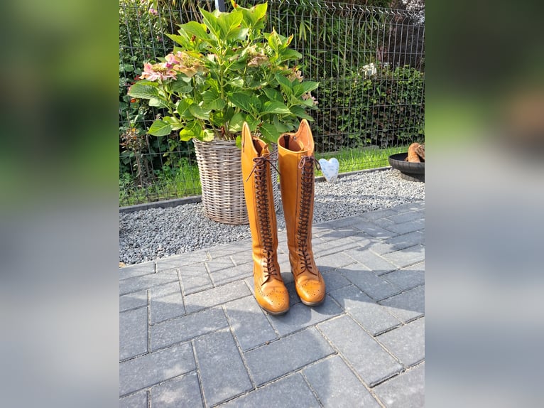 Neuwertige Reitstiefel Celeris  Größe 40/41