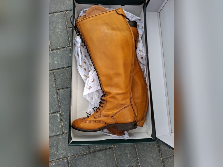Neuwertige Reitstiefel Celeris  Größe 40/41