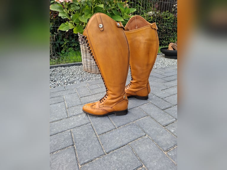 Neuwertige Reitstiefel Celeris  Größe 40/41