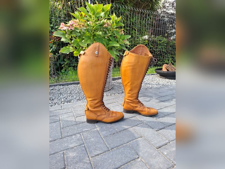 Neuwertige Reitstiefel Celeris  Größe 40/41