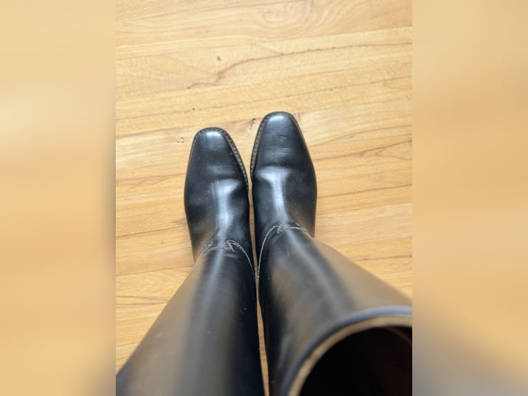 Petrie Dressurstiefel Leder schwarz – Gr. 5½ / H 45 / W 35