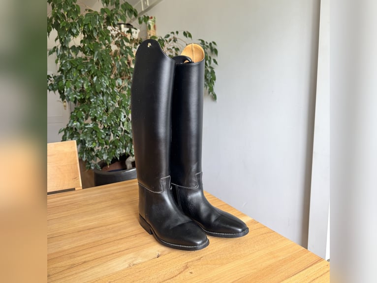 Petrie Dressurstiefel Leder schwarz – Gr. 5½ / H 45 / W 35
