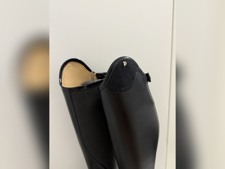 Petrie Reitstiefel  Petrie Reitstiefel