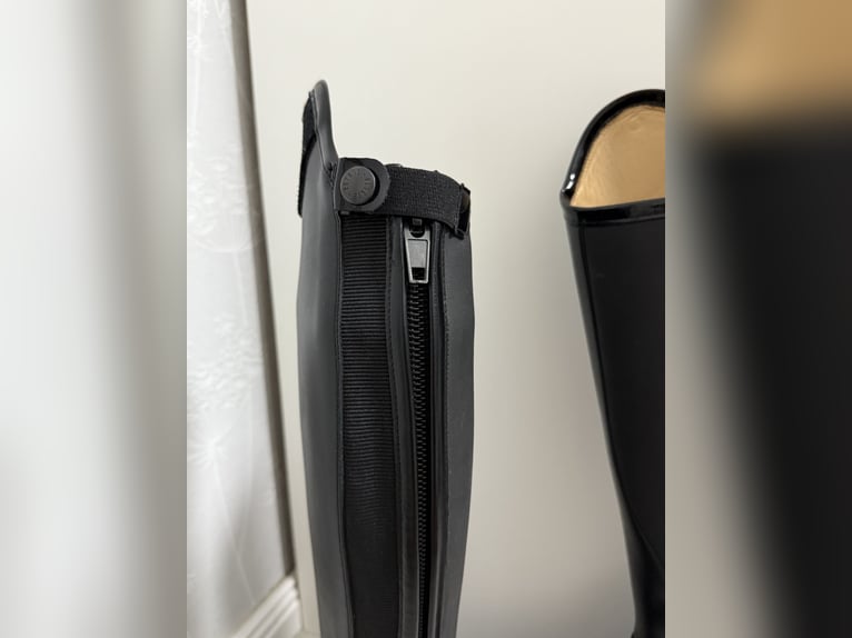 Petrie Reitstiefel  Petrie Reitstiefel