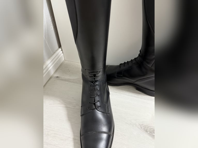 Petrie Reitstiefel  Petrie Reitstiefel