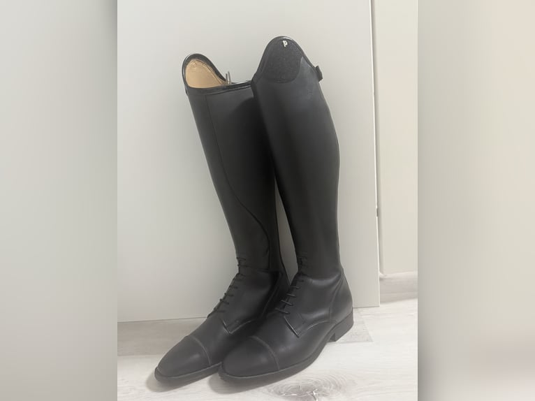 Petrie Reitstiefel  Petrie Reitstiefel