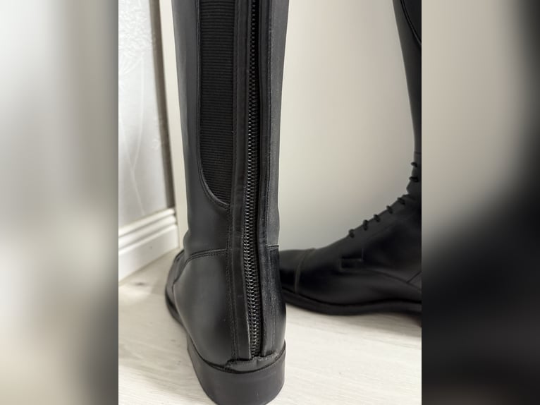 Petrie Reitstiefel  Petrie Reitstiefel