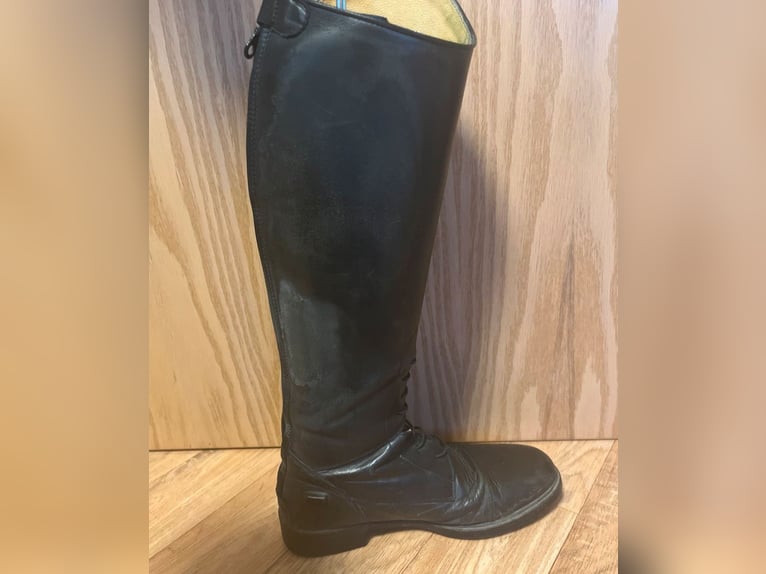QHP Reitstiefel Romy 38