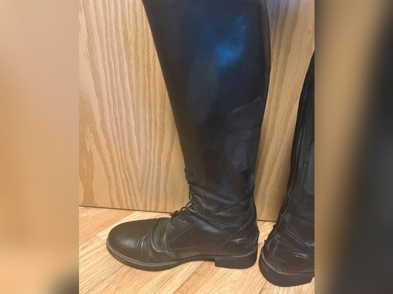 QHP Reitstiefel Romy 38