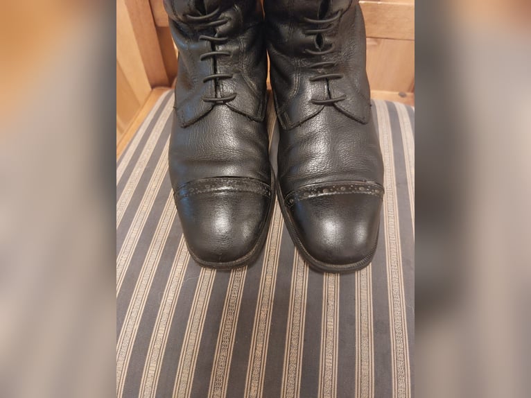 Reitstiefel DeNiro Tricolore Gr 37