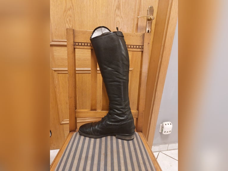 Reitstiefel DeNiro Tricolore Gr 37