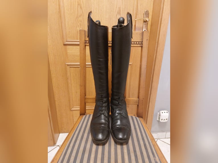 Reitstiefel DeNiro Tricolore Gr 37