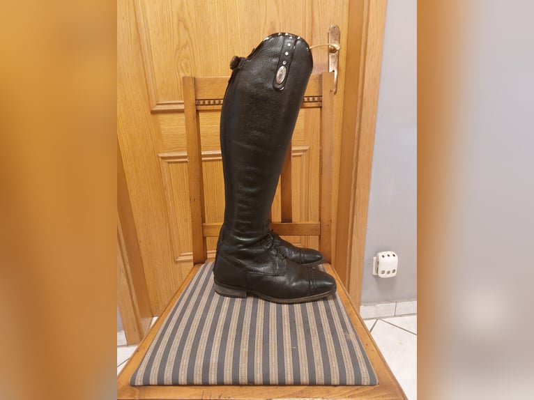 Reitstiefel DeNiro Tricolore Gr 37