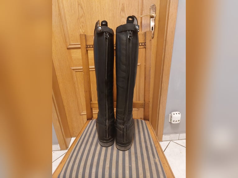 Reitstiefel DeNiro Tricolore Gr 37