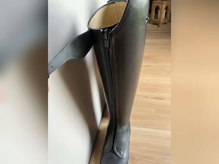 Reitstiefel Dressur Cavallo Polo Pro Größe 7 (40)