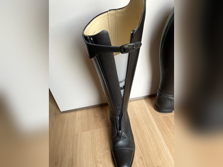 Reitstiefel Dressur Cavallo Polo Pro Größe 7 (40)