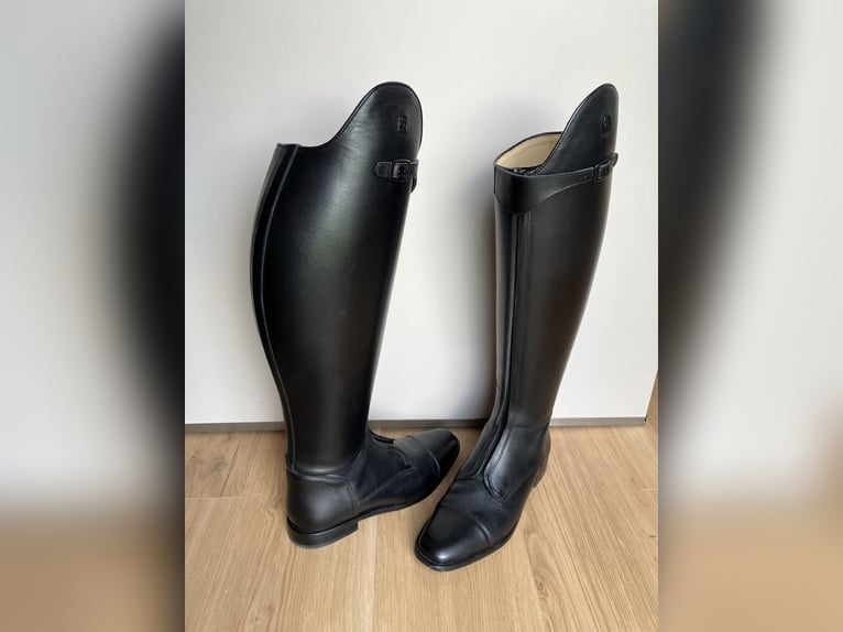 Reitstiefel Dressur Cavallo Polo Pro Größe 7 (40)