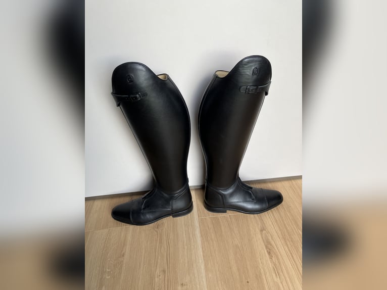 Reitstiefel Dressur Cavallo Polo Pro Größe 7 (40)