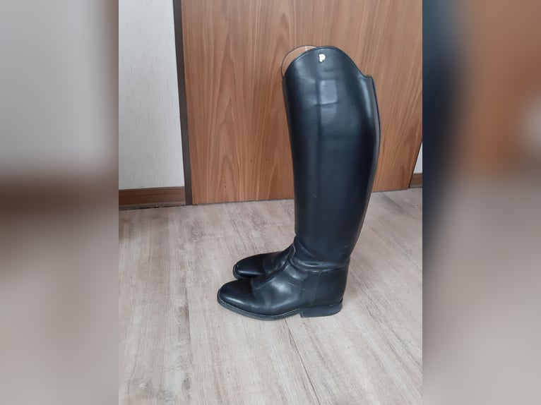 Reitstiefel Grösse 39/40 Schwarz Leder Petrie