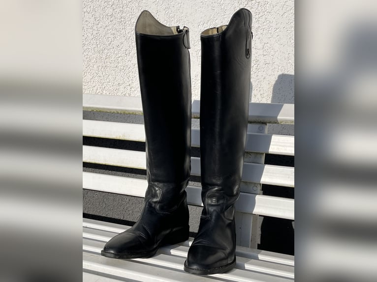 Reitstiefel Hobo Gr 43