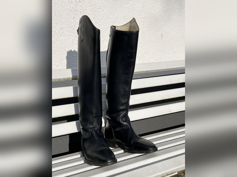 Reitstiefel Hobo Gr 43