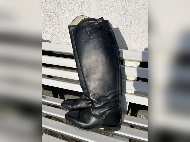 Reitstiefel Hobo Gr 43