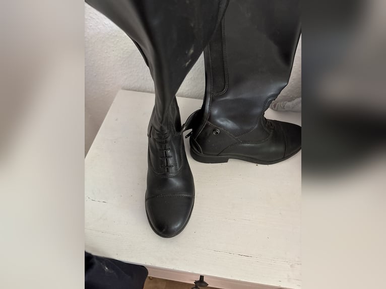 Reitstiefel in 36 und 37