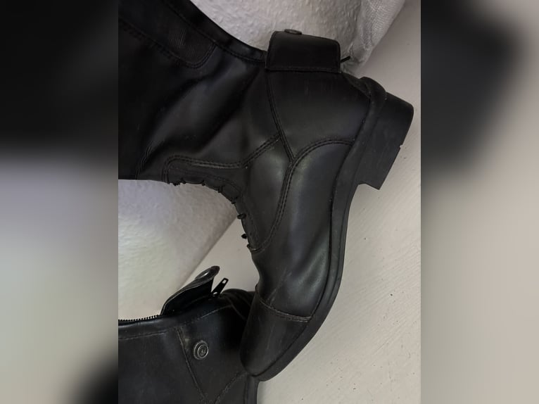 Reitstiefel in 36 und 37