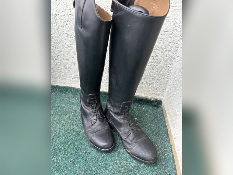 Reitstiefel 