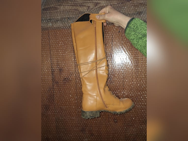 Reitstiefel mit Reißverschluss Größe 39