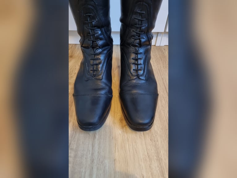 Reitstiefel Mountain Horse Sovereign High Rider 40/RN