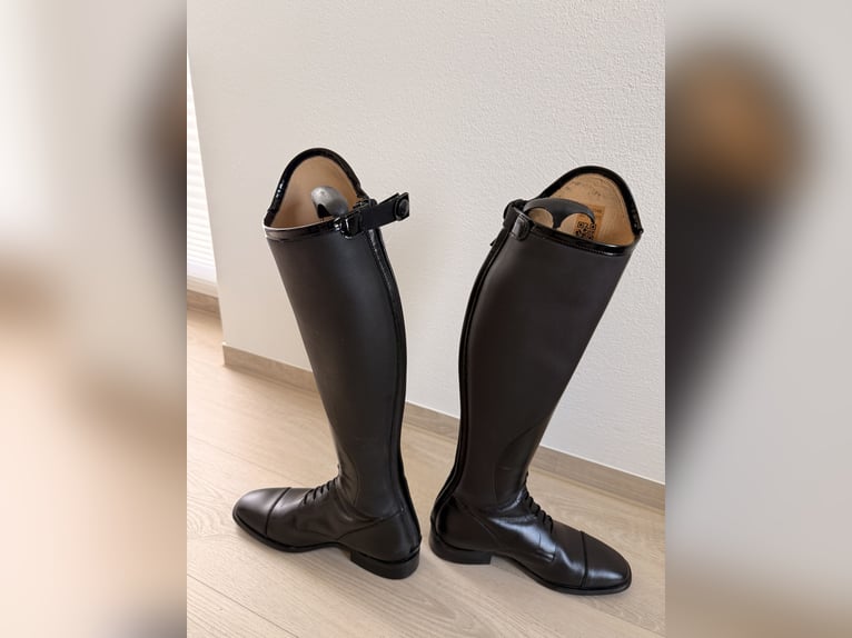Reitstiefel Petrie
