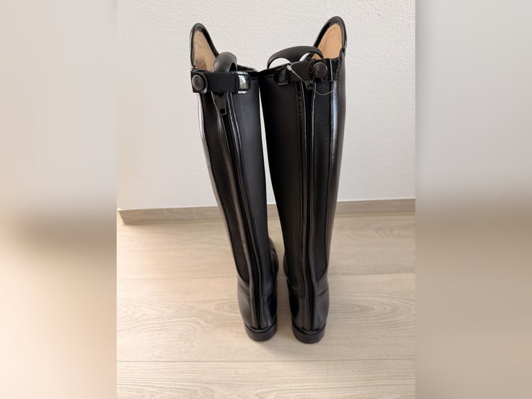 Reitstiefel Petrie