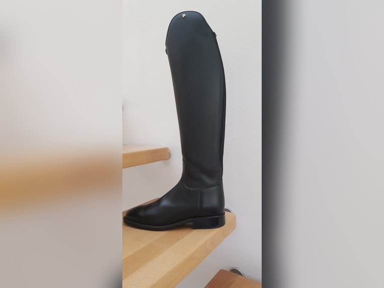 Reitstiefel Petrie schwarz Größe 5,5 (Fuß), 46 (Schafthöhe) 37 (Wade) Reißverschluss vorne innen