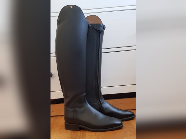 Reitstiefel Petrie schwarz Größe 5,5 (Fuß), 46 (Schafthöhe) 37 (Wade) Reißverschluss vorne innen
