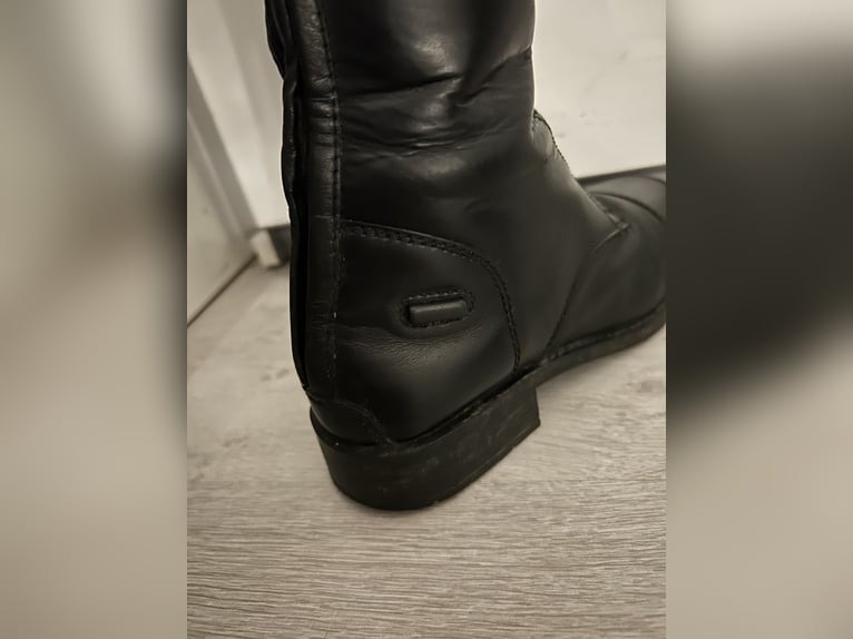 Reitstiefel QHP