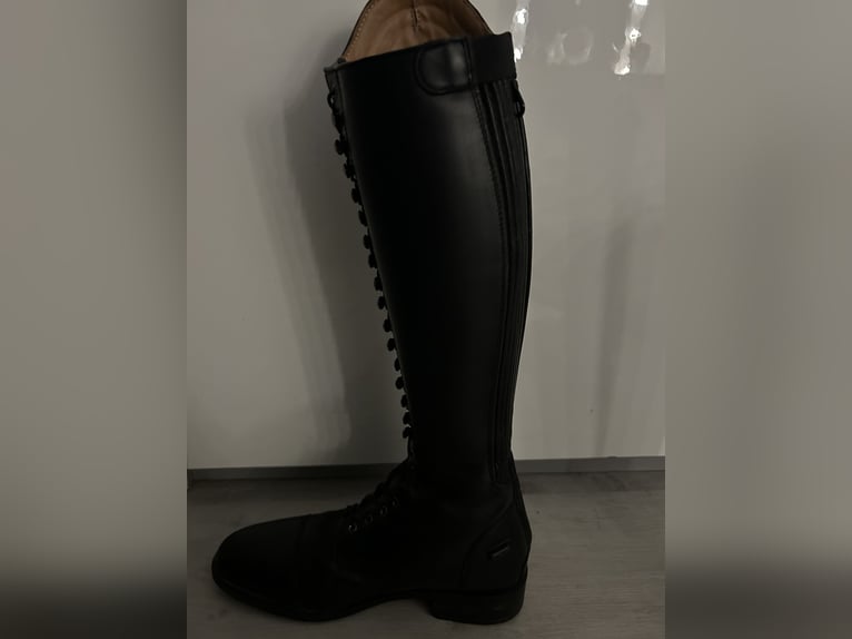Reitstiefel QHP