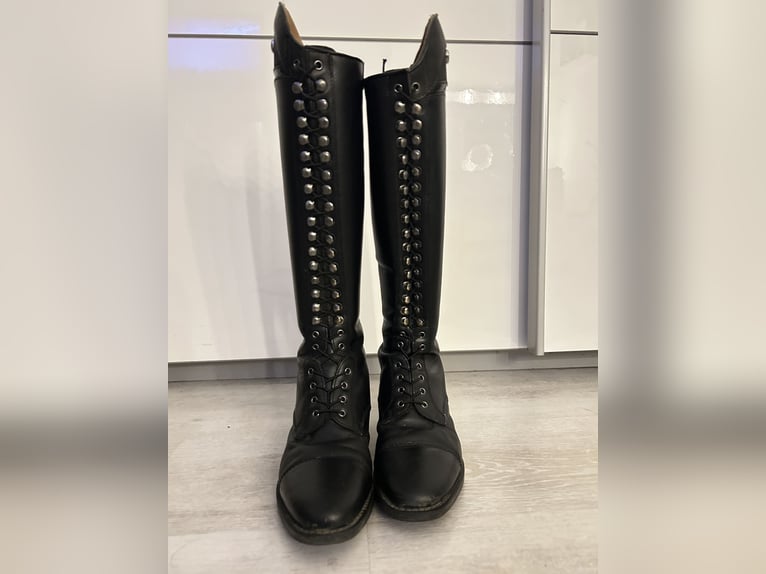 Reitstiefel QHP