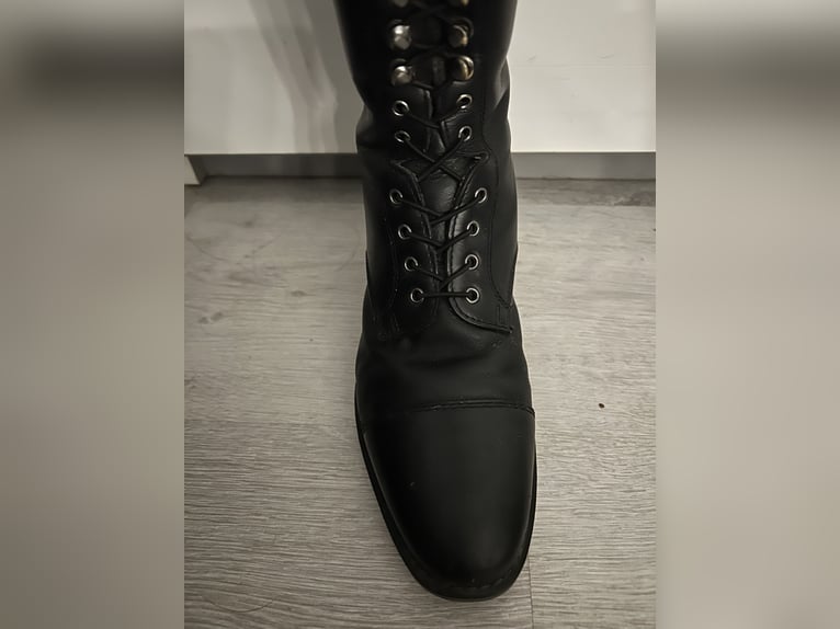 Reitstiefel QHP