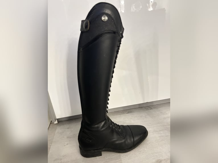 Reitstiefel QHP