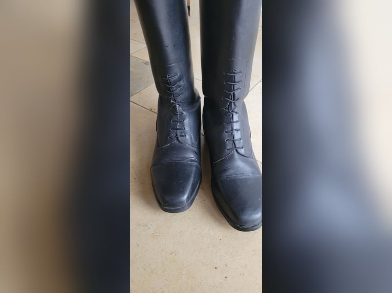 Reitstiefel Steeds 37-W Leder schwarz