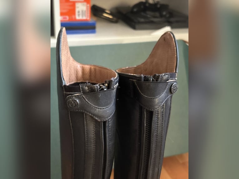 Reitstiefel Südwind Nova Tall