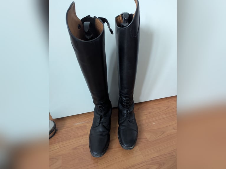 Schwarze Loesdau Reitstiefel Modell Campinas aus Leder