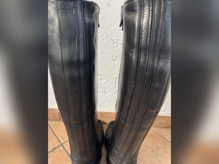 Schwarzer Dressurstiefel Messina von Felix Bühler in Größe 38
