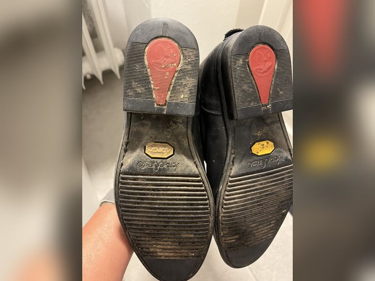 Sergio Grasso Dressurstiefel Gr 39/49/36